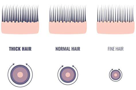 3 Different Thicknesses Of Human Hair Everything You Need To Know 3 Different Thicknesses Of Human Hair Everything You Need To Know