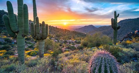 7 Day Guide To Outdoor Adventure Travel In Arizona Afar 7 Day Guide To Outdoor Adventure Travel In Arizona Afar