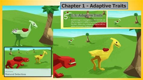 Adaptive Trait Example Adaptive Trait Example