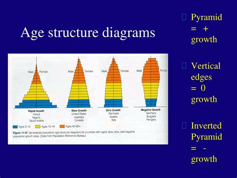 Age Structure Diagram