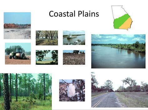 All Identifying Factors For The Coastal Plain Region