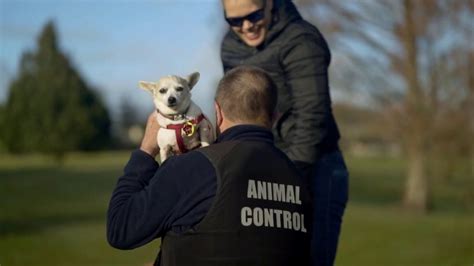 Tracing the Origins and Evolution of Animal Control Job Opportunities