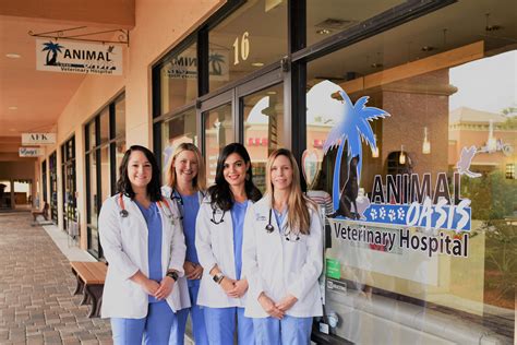 Animal Hospital In Naples Fl Animal Oasis Veterinary Hospital Animal Hospital In Naples Fl Animal Oasis Veterinary Hospital