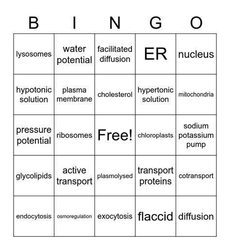 Ap Bio Unit 2 Bingo Card Ap Bio Unit 2 Bingo Card