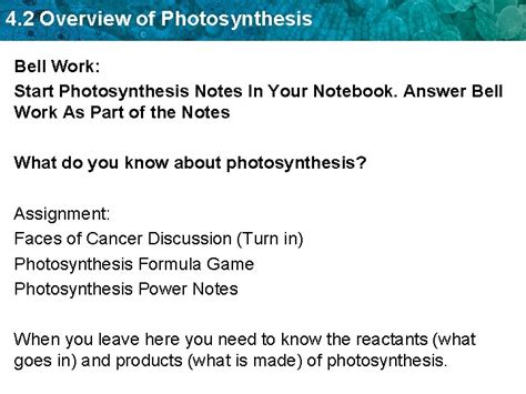Bell Work Write The Equation For Photosynthesis 2 Where Do Light Bell Work Write The Equation For Photosynthesis 2 Where Do Light