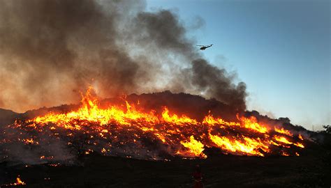 Brush Fire Forces Burbank Residents From Homes Brush Fire Forces Burbank Residents From Homes