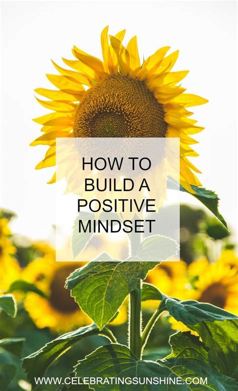 Build A Positive Mindset For Happiness Start Today Build A Positive Mindset For Happiness Start Today