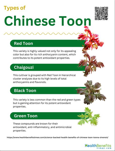 Discover the Top Chinese Toon Series for Anime Enthusiasts