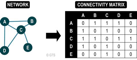 Unlocking Network Insights: The Unique Features of Connectivity Matrix