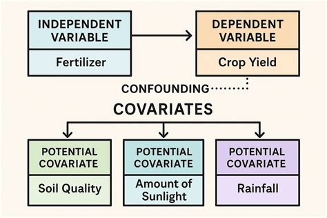 What Are Covariates and How Do They Influence Your Data Analysis?