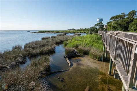 Explore the Hidden Beauty of Currituck Sound Today