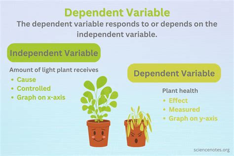Dependent Variable