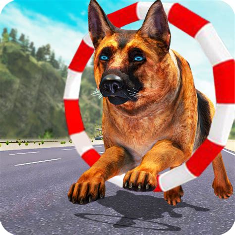 5 Dog Training Games