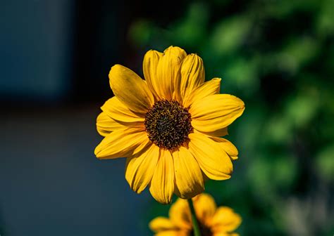 Fd83312bca5ad78bfe2192f317afae921273f637 Jpg Fd83312bca5ad78bfe2192f317afae921273f637 Jpg