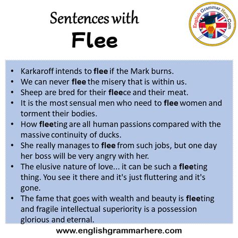 What Does It Mean to Flee Flee Flee and How Can You Escape It?
