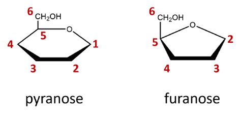 Unique Structural Features of Furanose vs Pyranose in Carbohydrate Chemistry