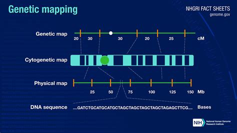 Genetic Map Genetic Map