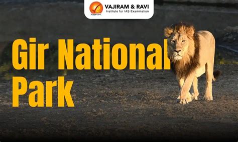 Discover the Best Gir Location for Your Dream Getaway