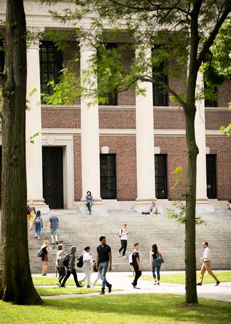 Harvard Waitlist 2029 Sees Record High Acceptance Odds
