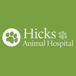 Hicks Animal Hospital: Your Wellness Oasis in a Jungle of Care