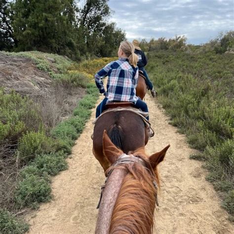 Horseback Riding In Orange County Enjoy Oc Horseback Riding In Orange County Enjoy Oc