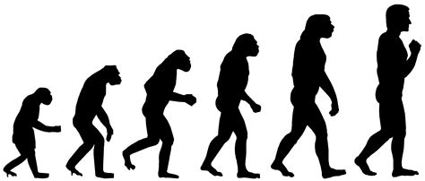 How Does Evolution Work Dinosaurs Made Easy