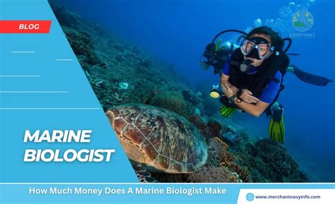 How Much Marine Biologists Get Paid How Much Marine Biologists Get Paid