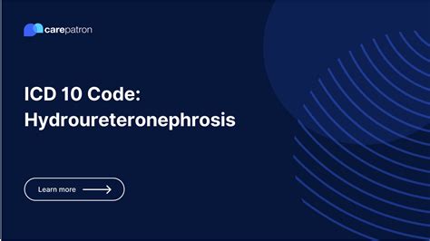 Hydroureteronephrosis Icd 10 Cm Codes Hydroureteronephrosis Icd 10 Cm Codes