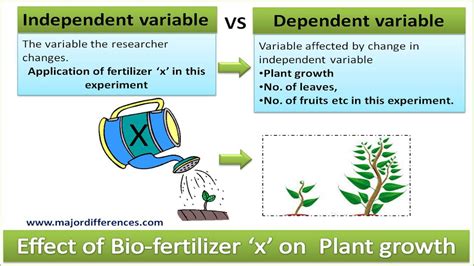 Independent Vs Dependent Variable