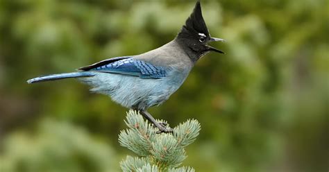 Maximize Profits with Jay Stmetrotech: Smart Financial Strategies