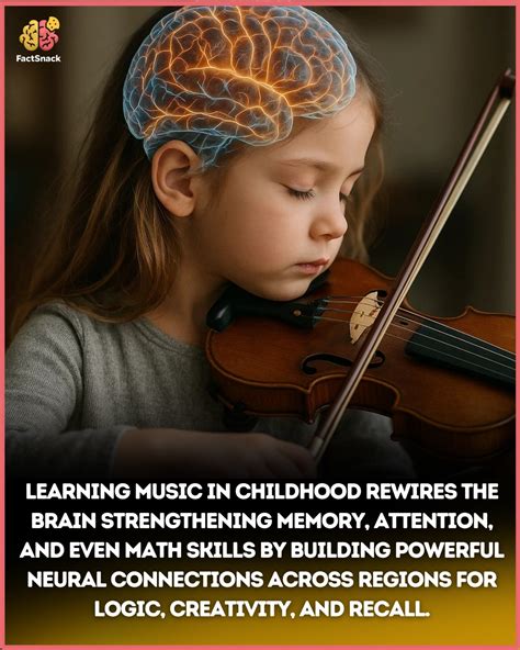 Learning Rewires The Brain Learning Rewires The Brain