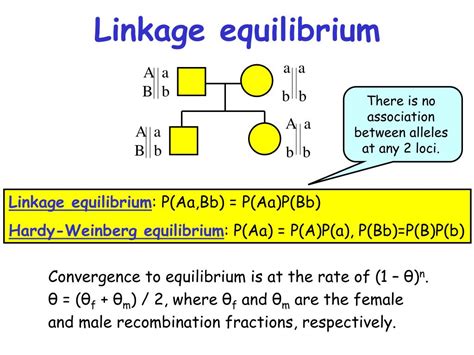 Understanding Why Linkage Equilibrium Matters in Genetic Diversity