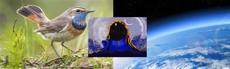 Myth Busting: Macro and Microcosm Are Not Separate Realms