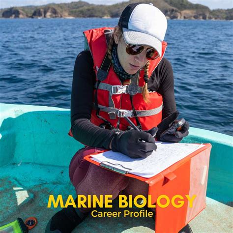 Marine Biologist Career What Do Marine Biologists Do Earth How Marine Biologist Career What Do Marine Biologists Do Earth How