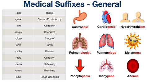 Beware of Common Mistakes in Interpreting Medical Suffix Meaning