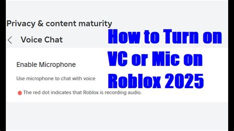 Roblox VC Mic Connection Guide