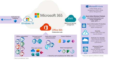 Microsoft 365 M365 Information Technology Microsoft 365 M365 Information Technology