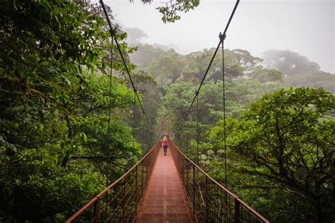 Monteverde Cloud Forest