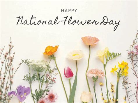 Avoid Mistakes When Celebrating National Flower Day