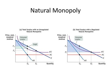 Natural Monopoly Graph