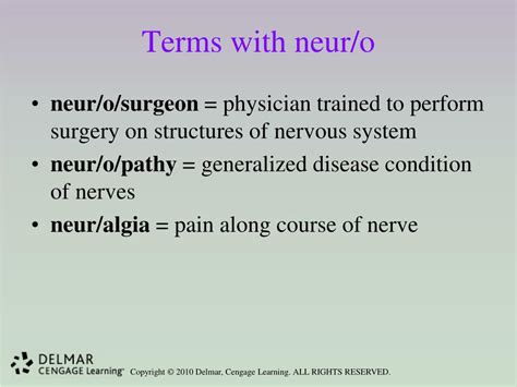 What does neur/o reveal about the brain and nervous system?