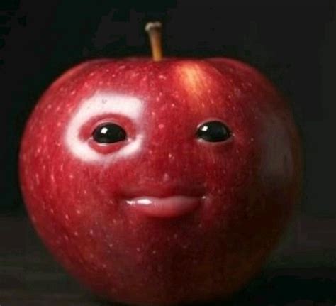 Ninche Information Guide