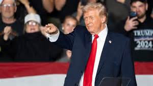 The Origins and Evolution of the Obama Meme in Internet Culture