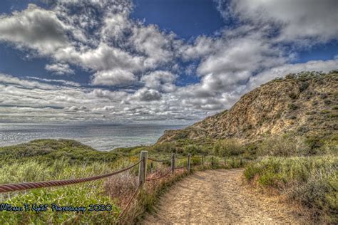 Ocean Trails Reserve Debunks the Myth of Limited Biodiversity