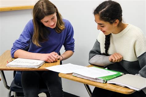 Unlocking Success: A Beginner's Guide to Peer Tutoring