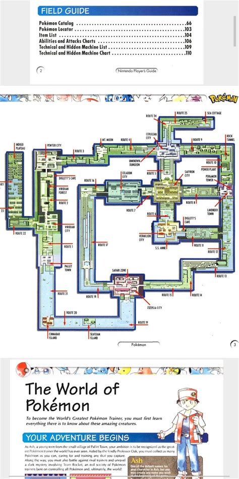 Pokemon Red Game Map Guide