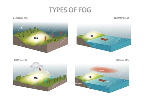 Premium Vector Types Of Fog Diagram Premium Vector Types Of Fog Diagram