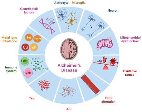 Recent Development In The Understanding Of Molecular And Cellular Mechanisms Underlying The Etiopathogenesis Of Alzheimer S Disease