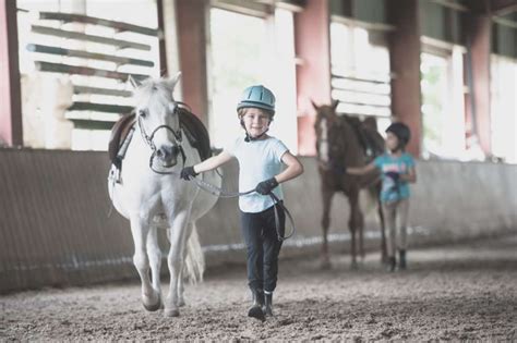 Riding School Lessons Training Horseback Riding Equestrian Training Riding School Lessons Training Horseback Riding Equestrian Training