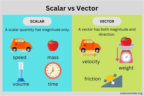 Scalar Versus Vector